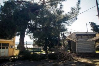 Κι άλλος εργαζόμενος σε ΟΤΑ σκοτώθηκε εν ώρα εργασίας